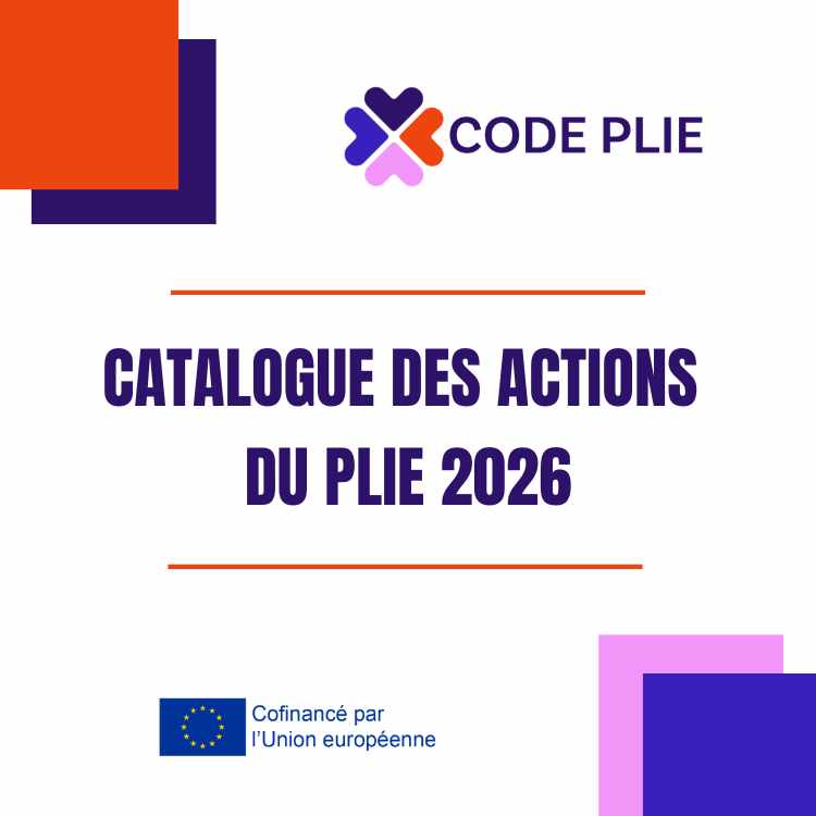 PLIE Plaine commune